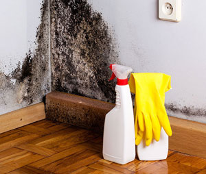 Gljivice u kutovima sobe